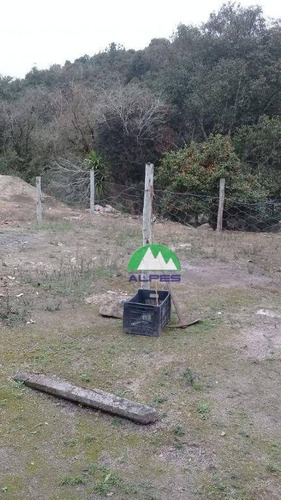 Imagem 21 de 24 de Chácara À Venda, 3860 M² Por R$ 185.000,00 - Vilarejo Taboão - Agudos Do Sul/pr - Ch0024