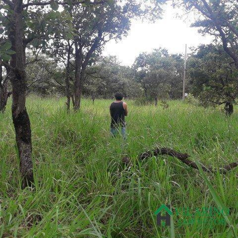 Imagem 3 de 13 de Lote Na Ilha Do Mangabal Represa De Três Marias - 2906