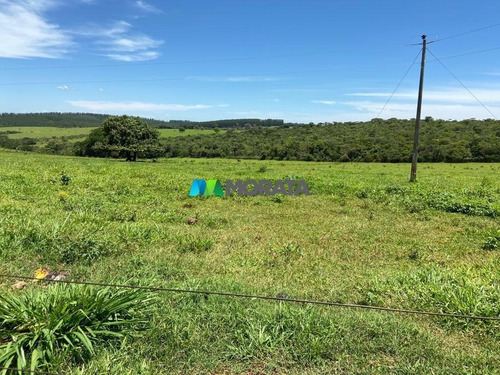 Imagem 6 de 15 de Fazenda - Zona Rural - Ref: 5332 - V-mta5332