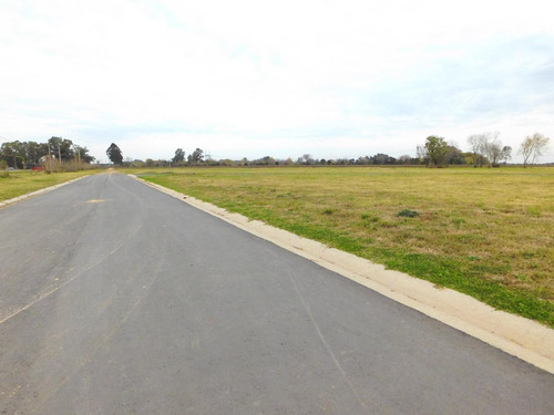 Imagen 1 de 8 de Venta - Lote 300m2 - Parada Robles - Exaltacion De La Cruz