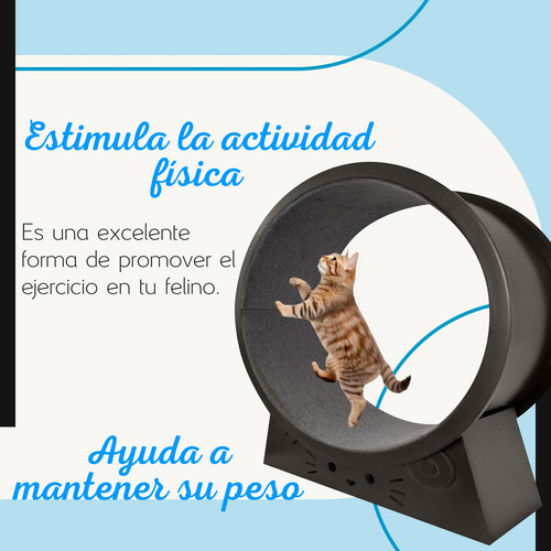 Rueda De Correr Para Gato Madera Juguete Y Ejercicio Mediana