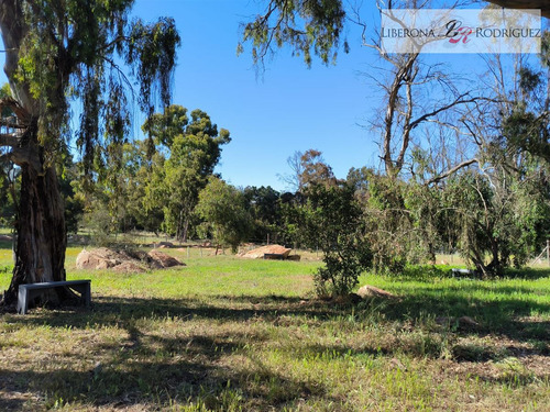 Parcela En Venta En Quintero