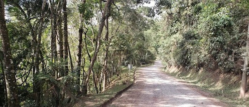 Imagem 11 de 11 de Terreno De 1767m² A Venda Em Condominio Em Santo Antônio Do Pinhal, Na Serra Da Mantiqueira, Vista Livre, Contato Com A Natureza - Te0436
