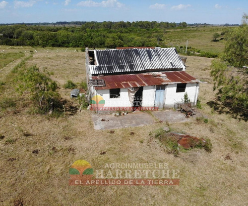 Imagen 12 de 17 de Venta De Chacra Melilla 3 Has Hermoso Paisaje.financia Propietario