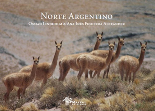 Norte Argentino - Ossian Lindholm