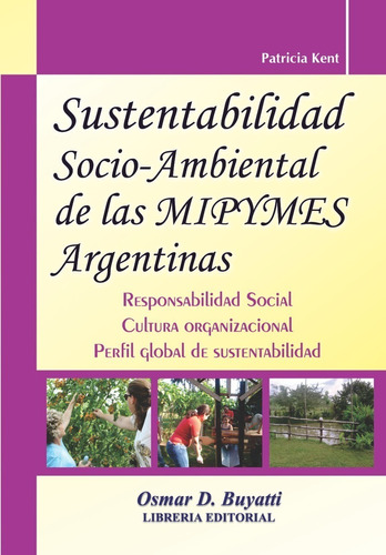 Sustentabilidad Socio Ambiental De Las Mipymes Argentinas