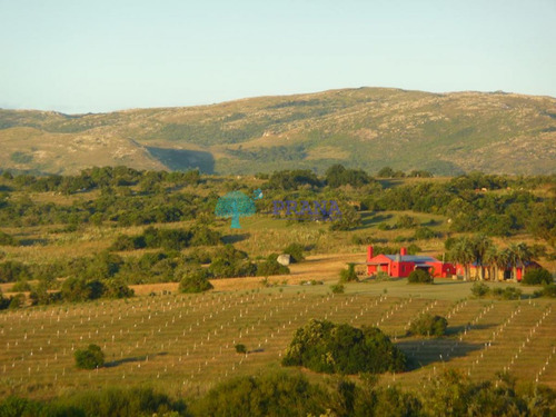 Imagen 18 de 20 de Hermosa Chacra De 39 Hs Con Casa