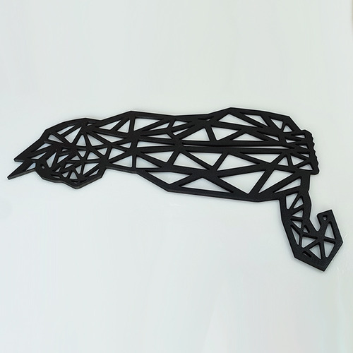 Figura Geométrica Decorativa En Gato A