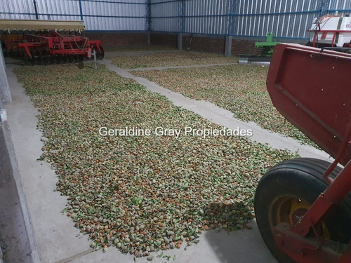 Campo En Venta De 70 Has Ubicado En Tratayen