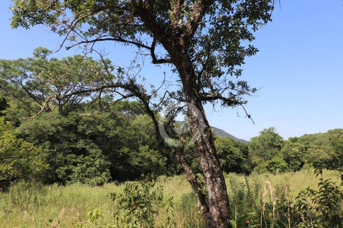 Imagem 11 de 15 de Área De Terra À Venda Em Picada Schneider 30000 M²- Presidente Lucena/rs - Ar0014