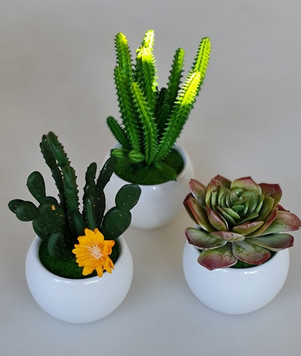Variedad Suculenta Artificial Con Maceta Mini De Cerámica