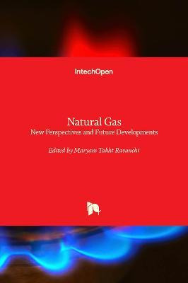 Libro Natural Gas : New Perspectives And Future Developme...