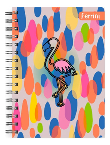 Libreta Francesa Ferrini 6pack Doble Aro Diseños 120h Color Raya