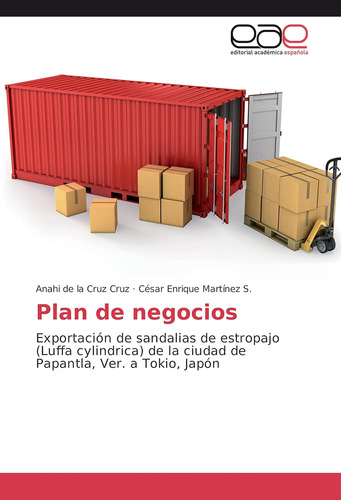 Libro: Plan De Negocios: Exportación De Sandalias De (luffa
