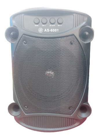 Corneta Portátil Con Micrófono Bluetooth Radio Karaoke Led