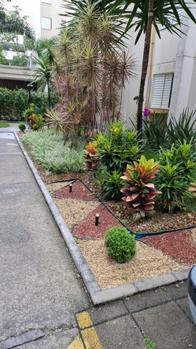 Apartamento Em Zona Norte Pirituba