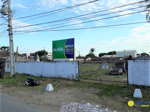 Imagem 1 de 14 de Terreno Para Alugar - 04175.001