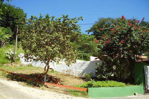 Imagem 18 de 30 de Chácara Com 5 Dorms, Parque Paraíso, Santana De Parnaíba - R$ 690 Mil, Cod: 65500 - V65500
