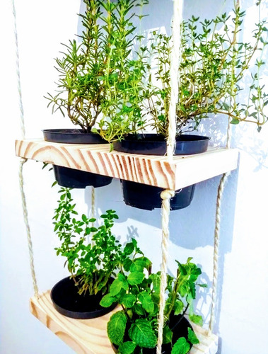 Porta Vaso Suspenso # Plantas # Decoração