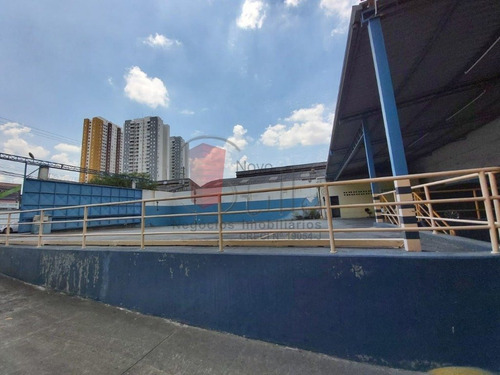 Galpao - Maranhao - Ref: 9248 - L-9248