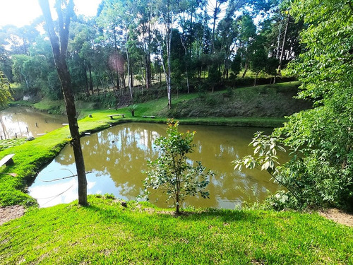 Linda Chácara À Venda No Bairro Miringuava Em São José Dos Pinhais, Com Aproximadamente 20 Mil Metros De Terreno! - Ch00004 - 68976597