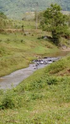 Imagem 6 de 14 de Sítio Com 18 Alqueires, Em Pedro De Toledo