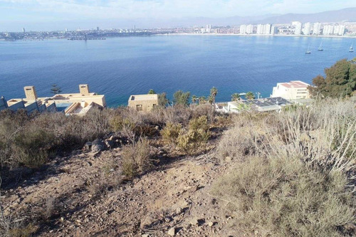 Imagen 10 de 13 de Vendo Terreno En La Herradura Hermosa Vista A La Herradura