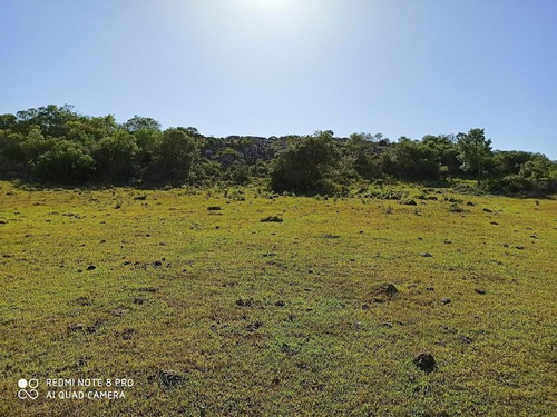 Se Venden 236 Hectáreas, Sobre Ruta 7, Entre Batlle Y Ordóñez Y Valentines. Campo De Sierra, Con Aptitud Ganadero Forestal.