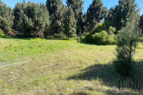 Hermoso Terreno Camino A Ñipas