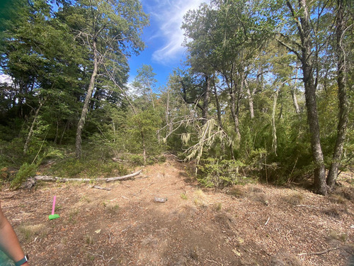 Se Vende Terreno En Las Trancas Pinto Región Ñuble