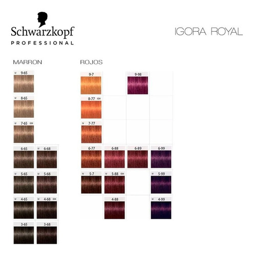 Schwarzkopf Kit Tintura Igora Royal X6 Unidades + Oxidante Sin Tono