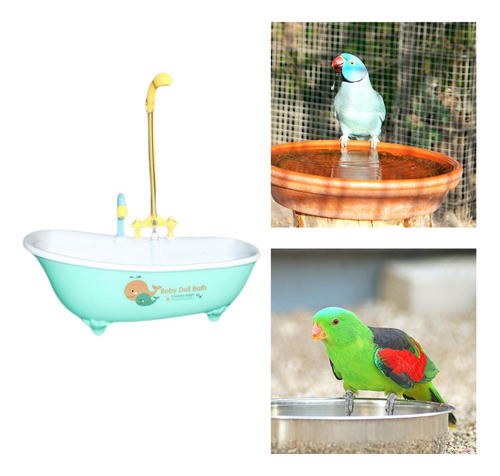 Bañera Para Loros, Caja De Ducha Para Periquitos, Piscina,