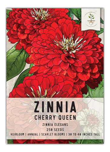 Seed Needs, Cherry Queen - Semillas De Zinnia  250 Semillas