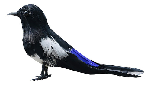 Taxidermia Realista Urraca