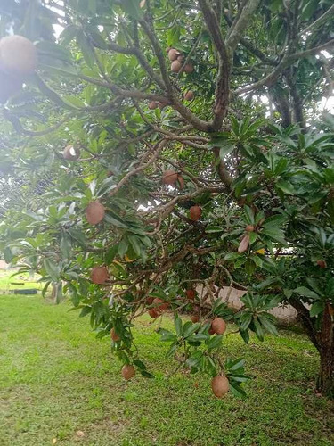 Imagen 13 de 30 de En Venta Finca Avicola Y Conejera Con Fondo De Comercio Para Embutidos