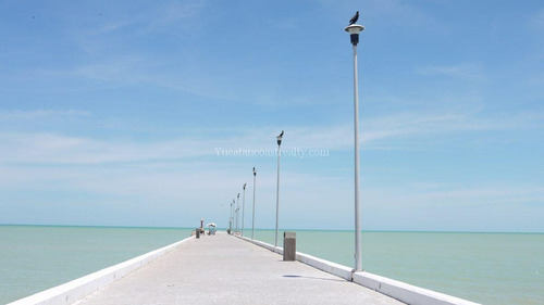 Terreno En Venta En Chicxulub Puerto Yucatán Playa