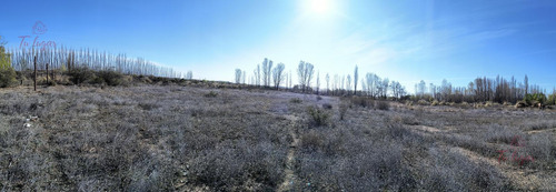Oportunidad Inversion, Venta Chacra Ubicada En Colonia San Francisco 1,8 Ha