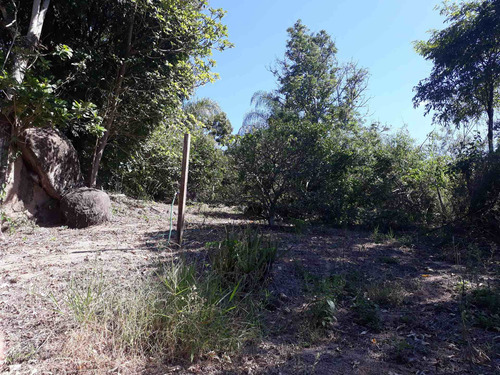 Imagem 15 de 30 de Vendo Chácara 30.000 M² Morungaba Com Casas, Nascente, Lago Piscina, Pasto. - Ch00018 - 33766655