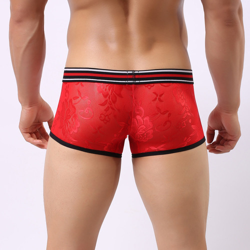 Hombres De Encaje Ropa Interior Transparente Aire Bajo Cintu