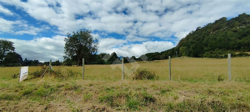 Sitio - 5.000 M2 Cada Uno - Cascadas - Puerto Octay