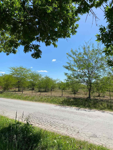 Imagen 7 de 14 de Dueño Vende Hermoso Lote En Villa Elisa, La Plata Calle 409