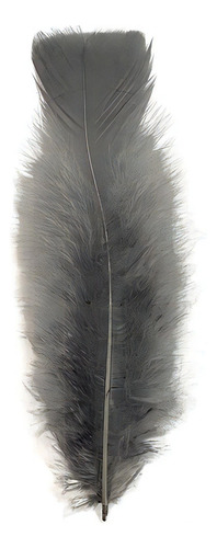Plumas E Penas Coloridas 200 Uni Cinza