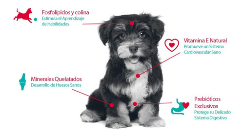 Imagen 2 de 3 de Smart Bites Cachorro