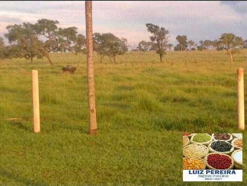 Imagem 6 de 7 de Fazenda À Venda Em Campo Grande - Ms - De 890 Hectares (dupla Aptidão) - 1698