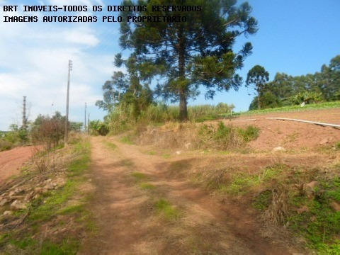 Imagem 14 de 18 de Area - Ar00011 - 2238924