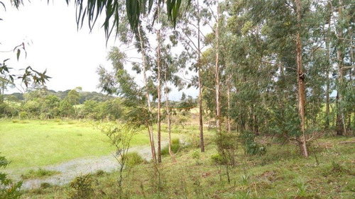 Terreno Em Primeiro Distrito - El56353457
