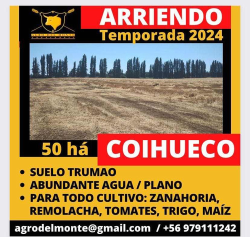 Arriendo 50 Ha Coihueco