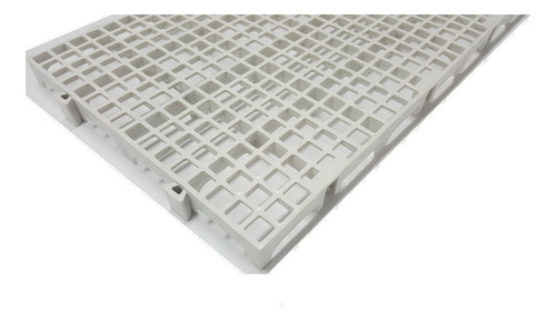 50 Pisos Plastico Branco Estrado Plast 50x25cm Multi Canil