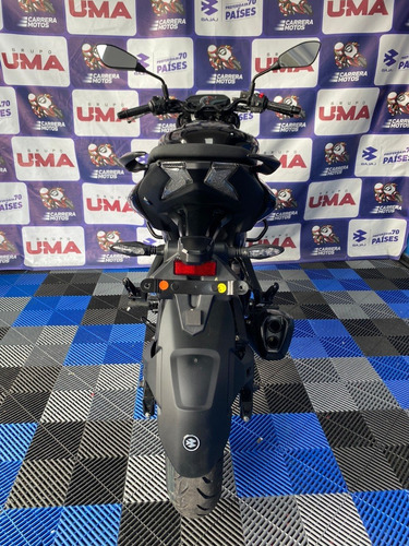 Imagen 15 de 18 de Pulsar N250