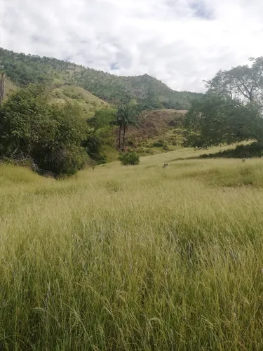 Finca Ganadera Con Nacimiento De Agua Propio
